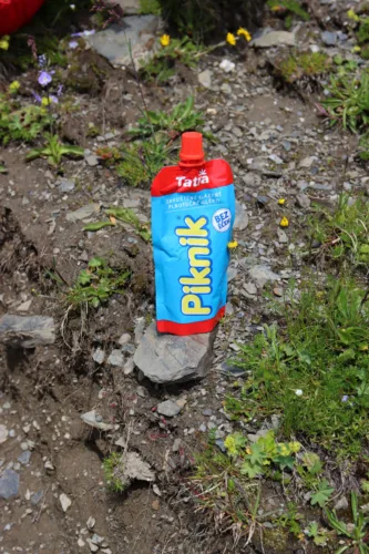Piknik